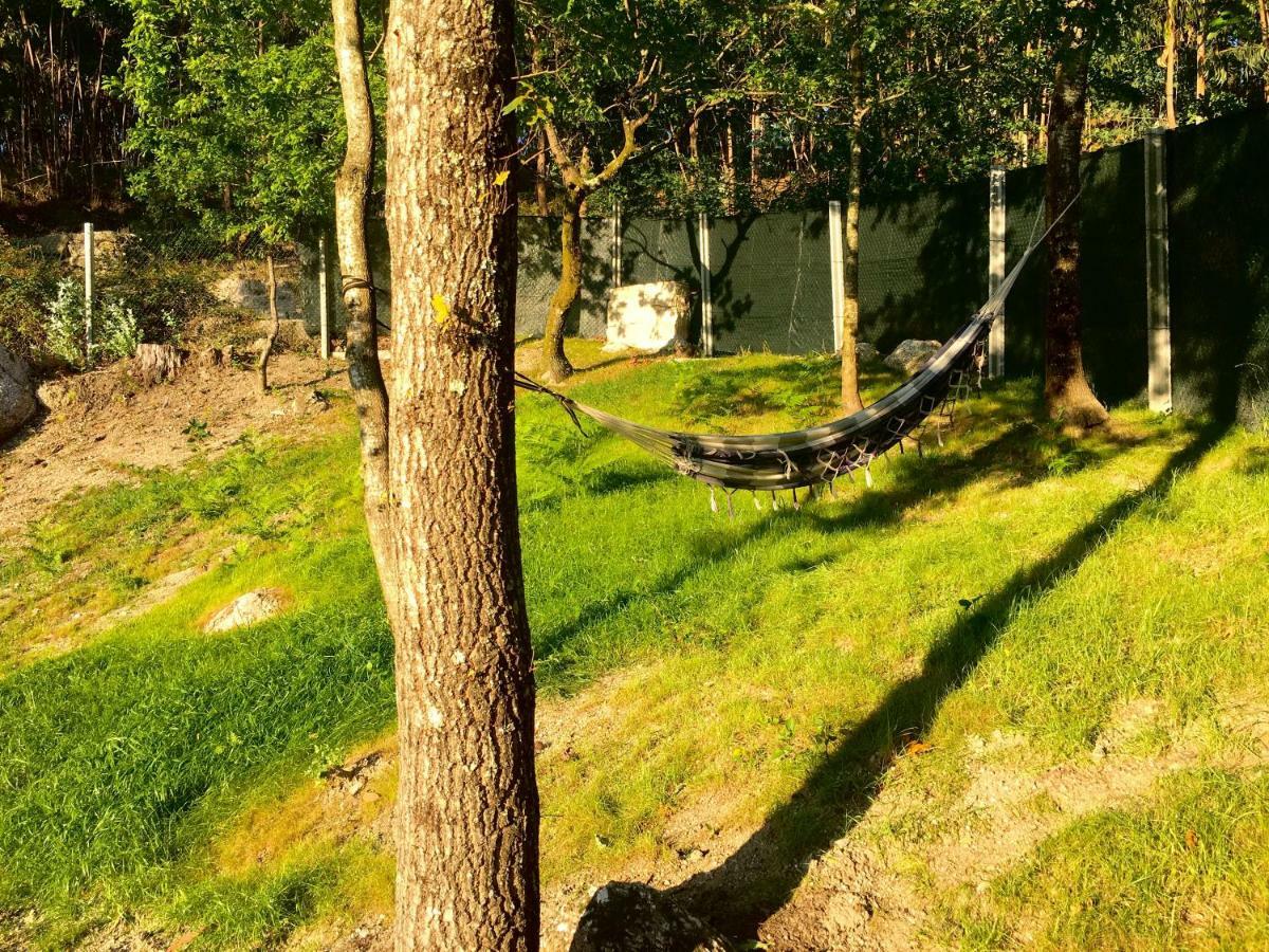 The Green Roof House Vieira do Minho Exterior foto